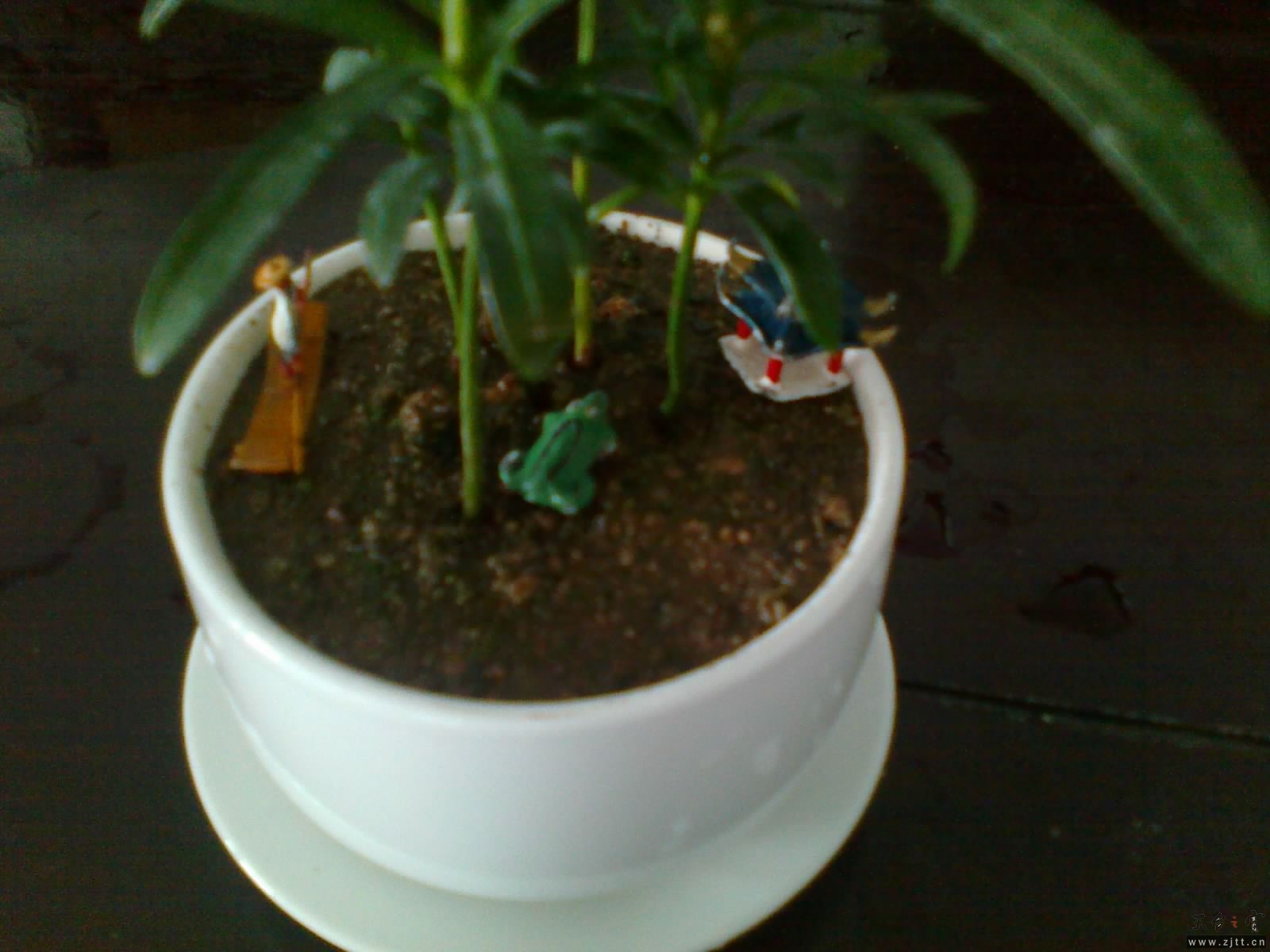 201306052132.jpg