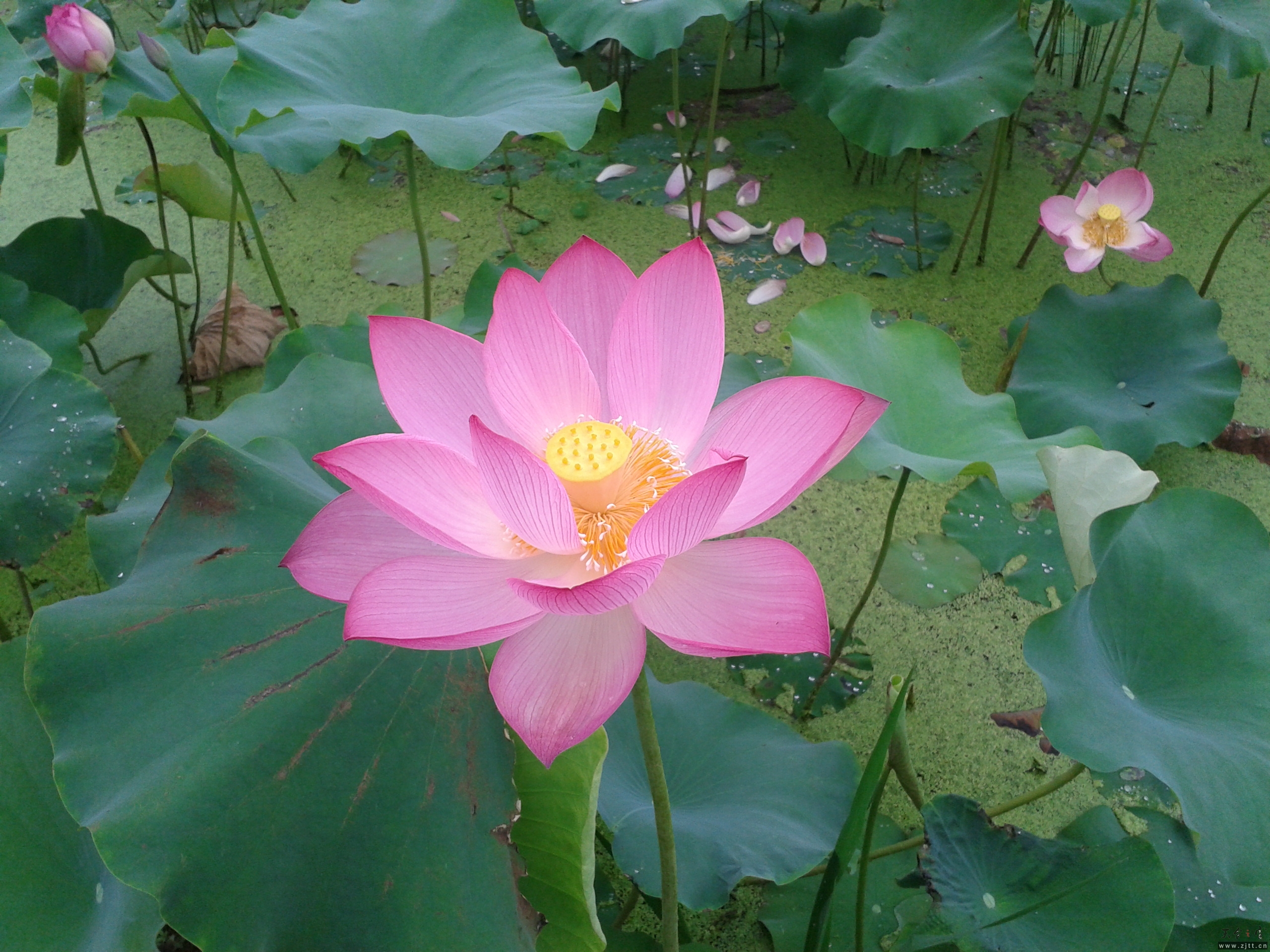 2013-06-22 07.57.23.jpg