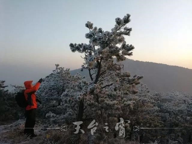 微信图片_20171218095231_副本.jpg
