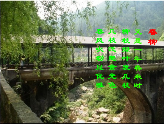 春柳.jpg