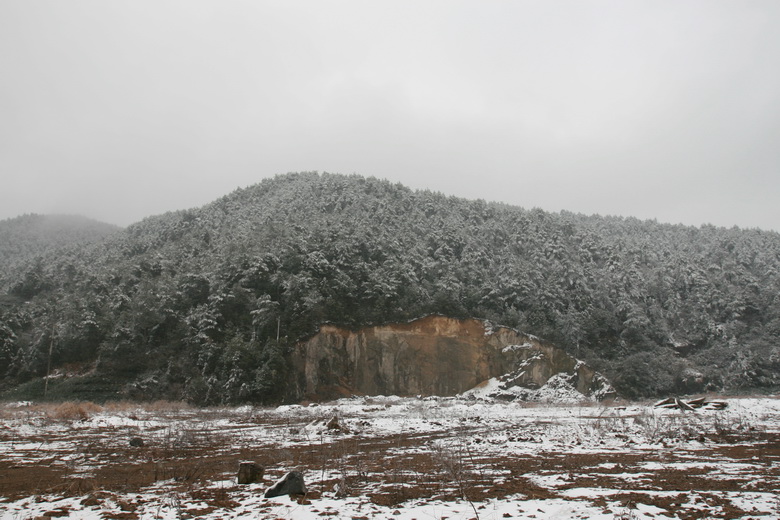 IMG_8529_调整大小.JPG