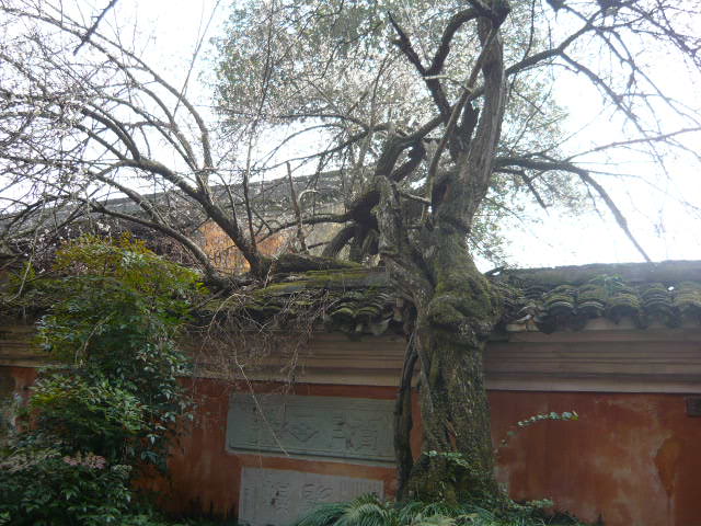 P1050527.JPG