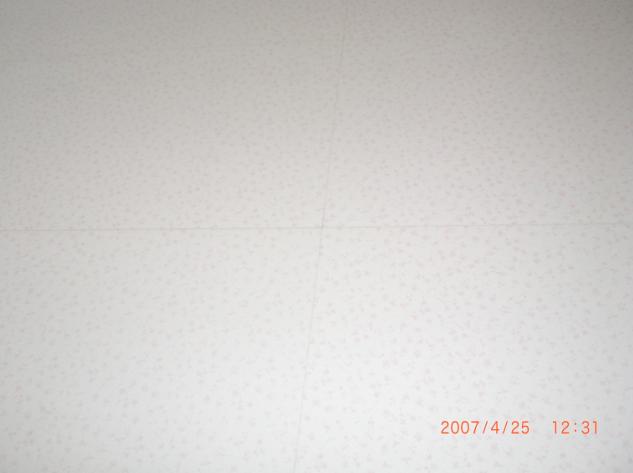 2007-4-25-02-02.jpg