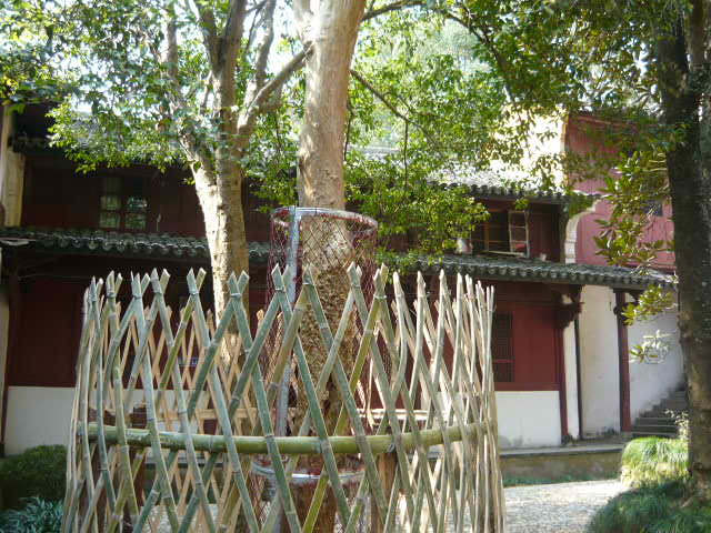 P1050631.JPG