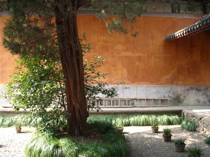 国清寺一角.jpg