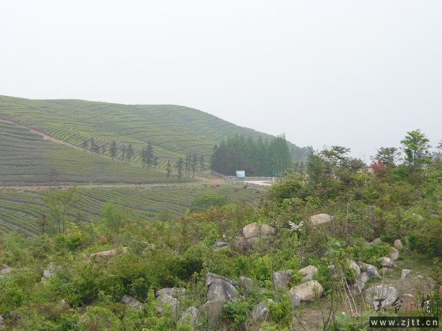 P1060179.JPG
