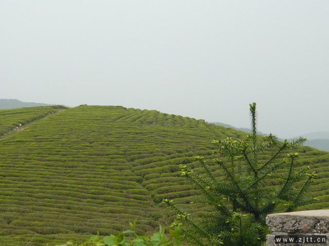P1060184.JPG