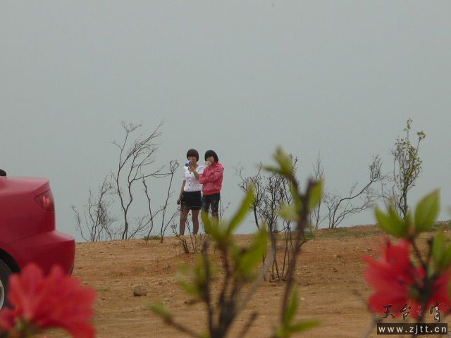 P1060149.JPG