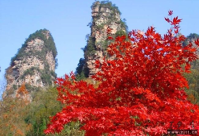 大氧吧.jpg