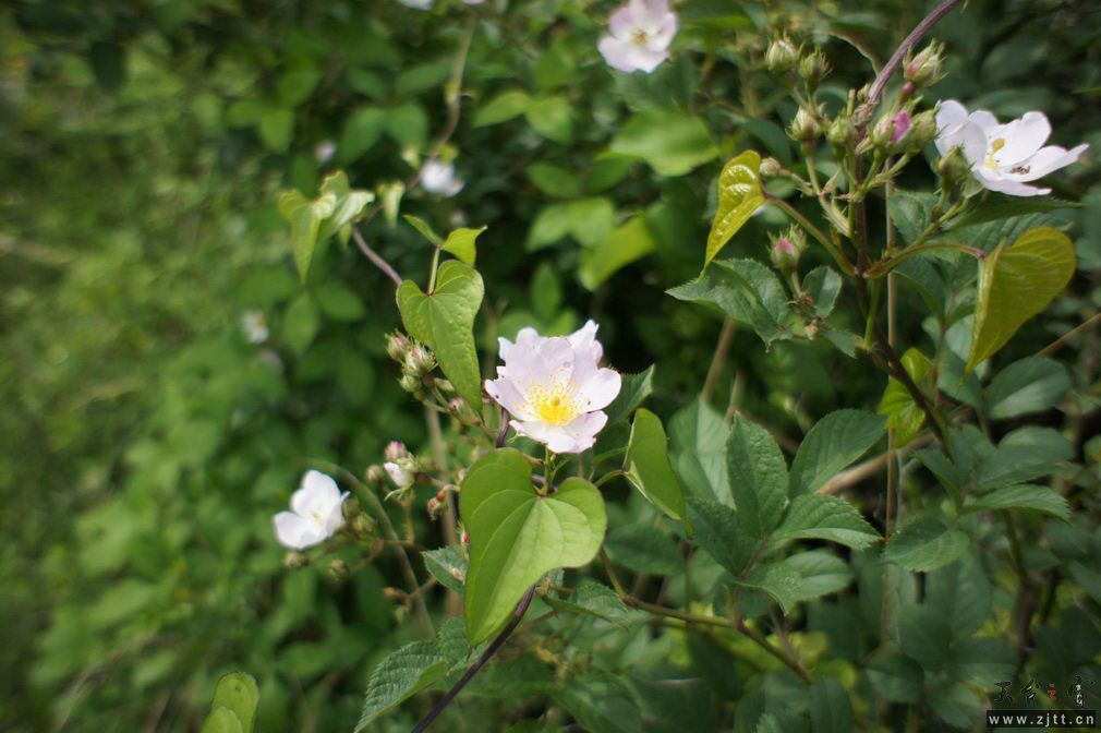 DSC00541_调整大小.jpg