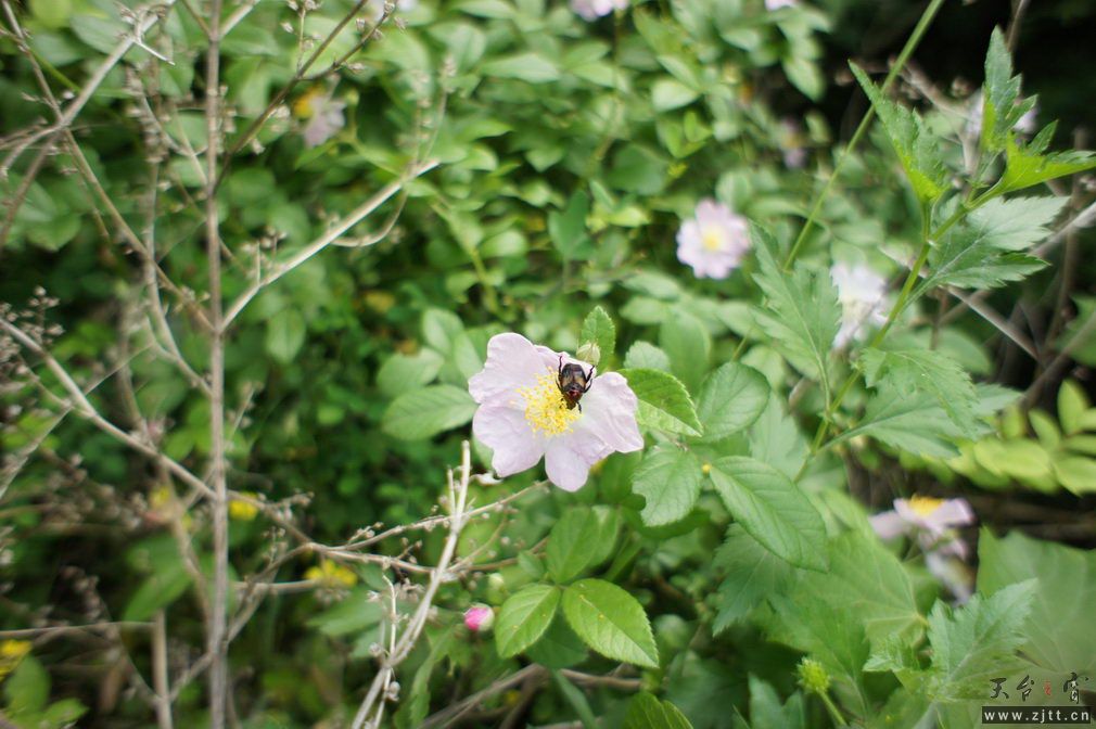 DSC00546_调整大小.jpg