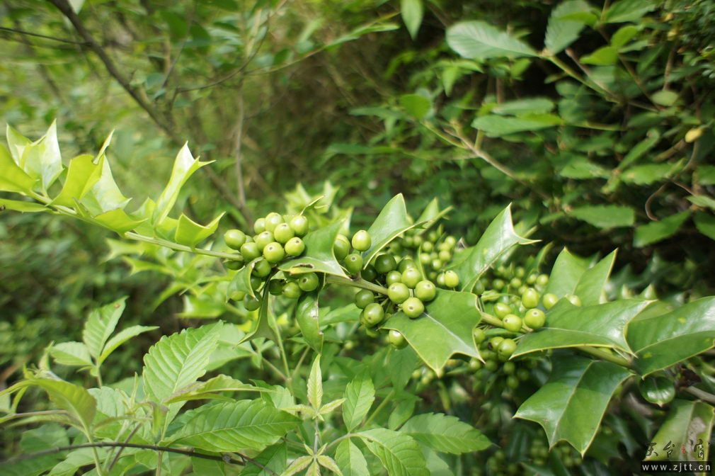 DSC00547_调整大小.jpg