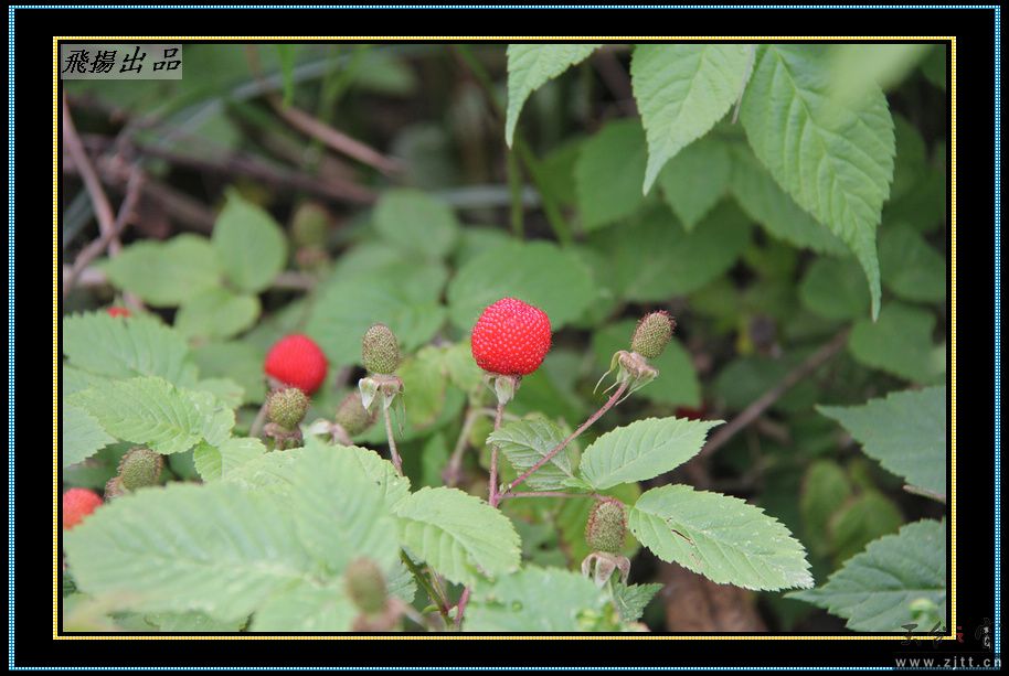 IMG_5143.jpg