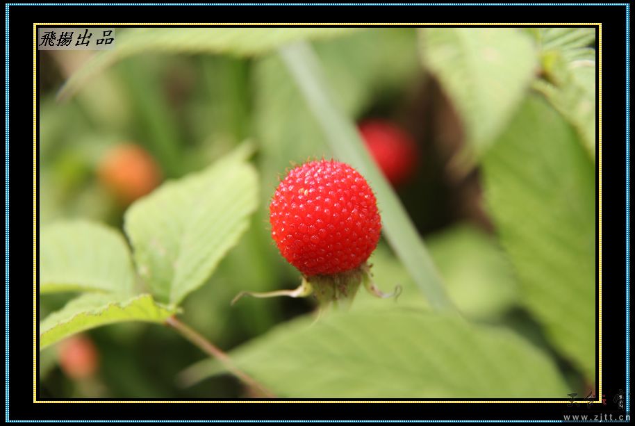 IMG_5166.jpg