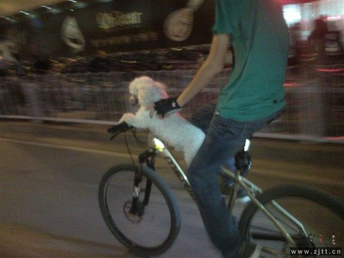 201151522184312928.jpg