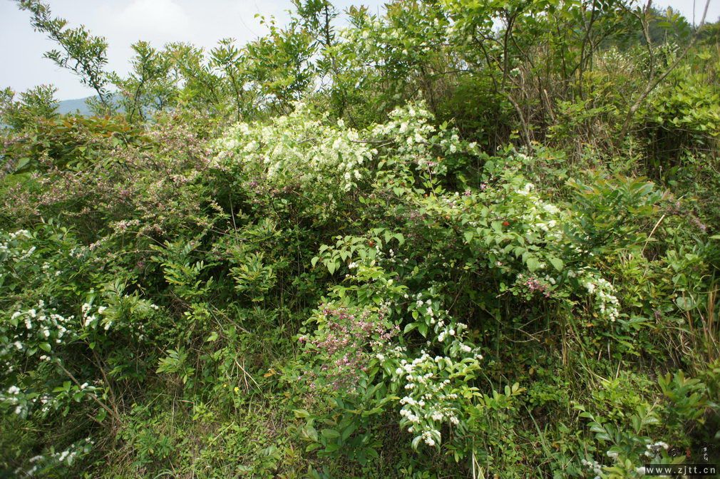 DSC00579_调整大小.jpg