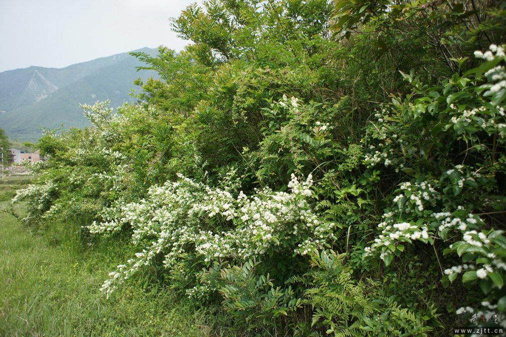 DSC00581_调整大小.jpg