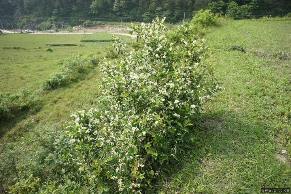 DSC00597_调整大小.jpg