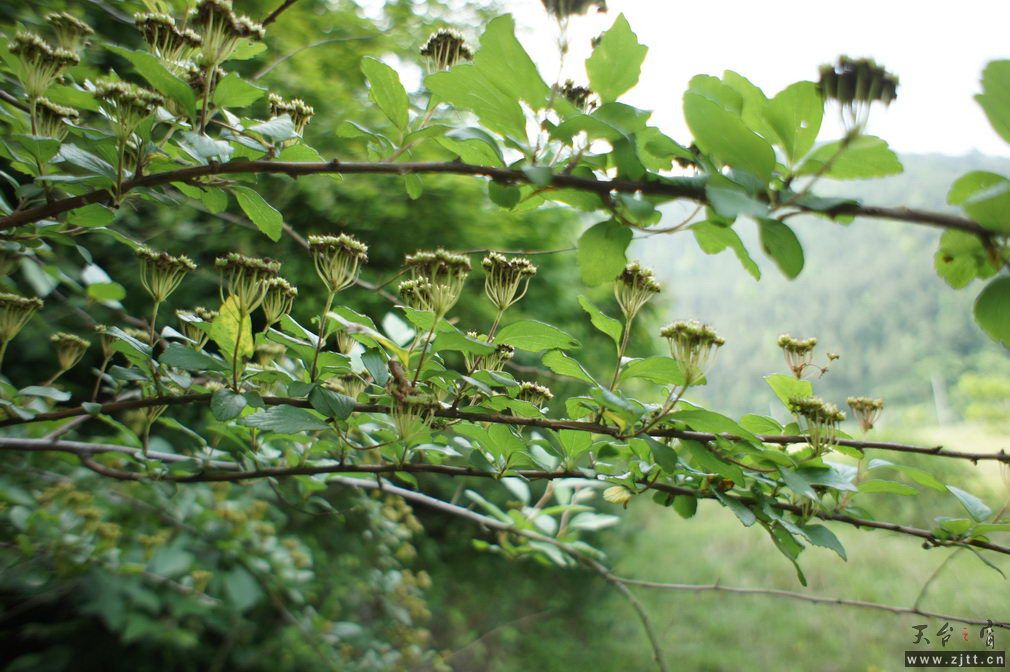 DSC00619_调整大小.jpg