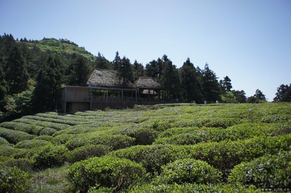 DSC00668_调整大小.JPG