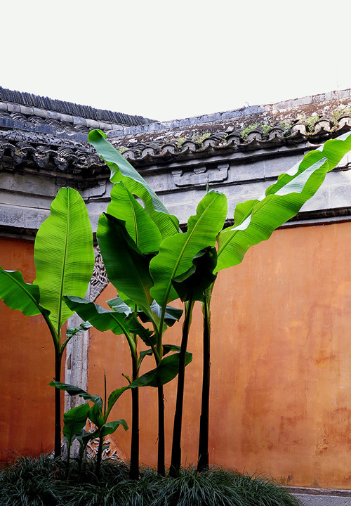 DSC_0009_副本_副本1_副本.jpg