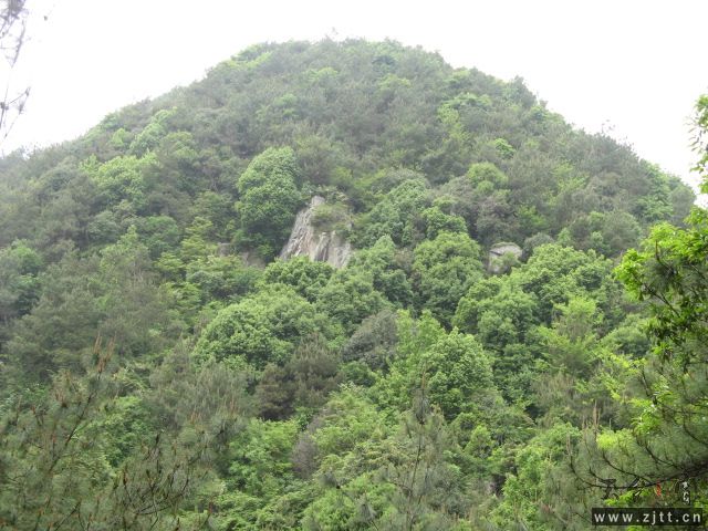 IMG_0270.JPG