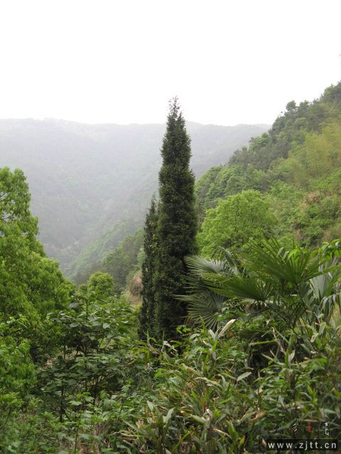 IMG_0352.JPG