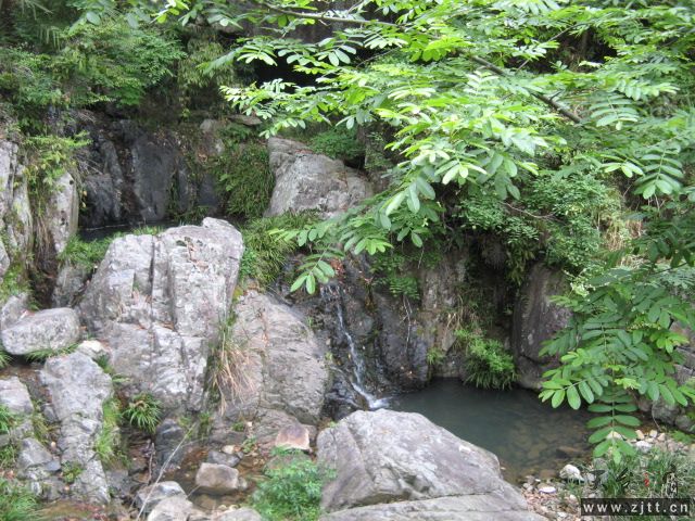 IMG_0332.JPG