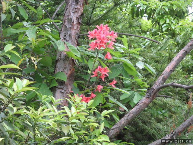 IMG_0291.JPG