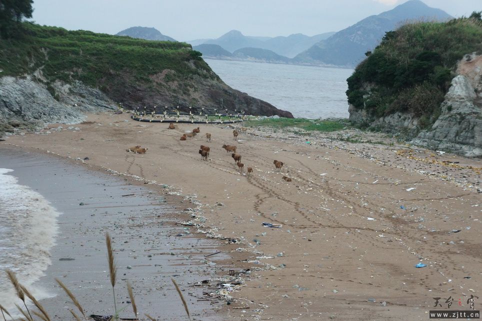 DSC02335_调整大小.JPG