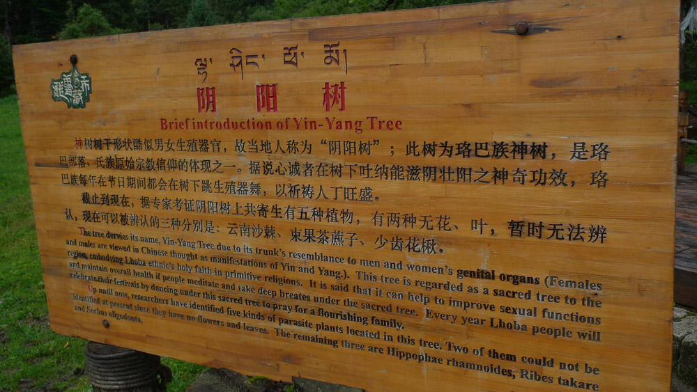 P1010688.jpg