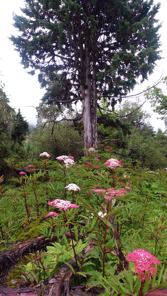 P1010689.jpg