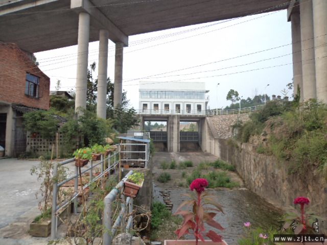 DSC01399.JPG