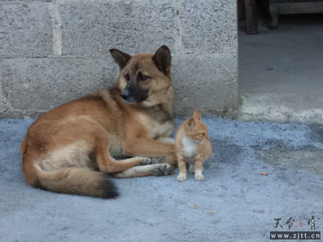 DSC01428.JPG