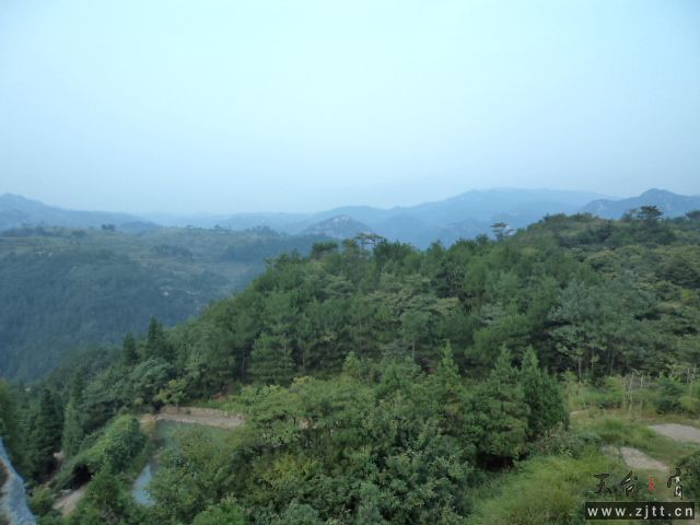 DSC01452.JPG