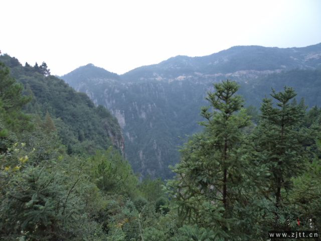 DSC01460.JPG