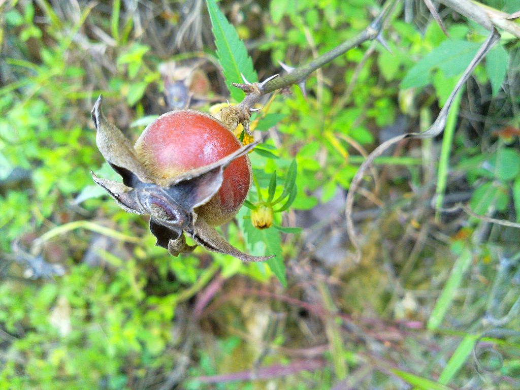 201110022159.jpg