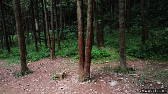 nEO_IMG_DSC01911.jpg