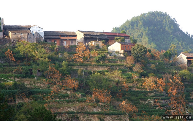 IMG_0689_副本.jpg