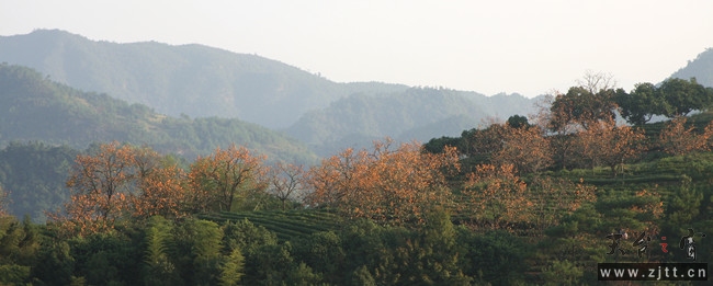 IMG_0691_副本.jpg