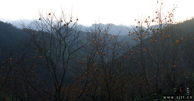 IMG_0757_副本a.jpg