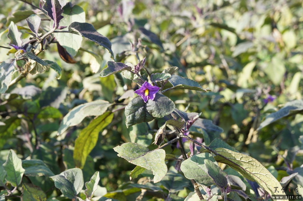DSC01458_调整大小.jpg