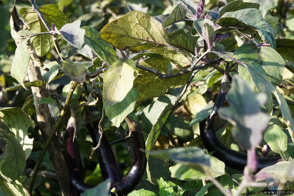 DSC01460_调整大小.jpg