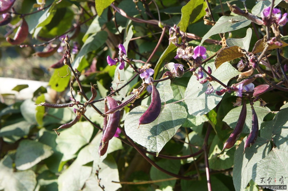 DSC01450_调整大小.jpg