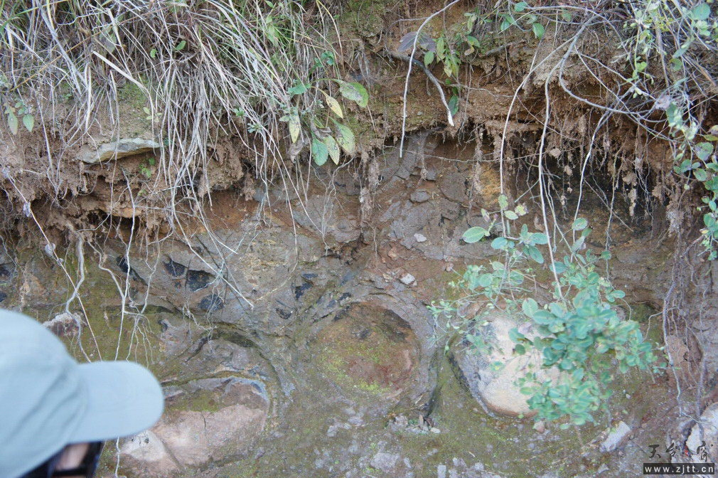 DSC01488_调整大小.jpg