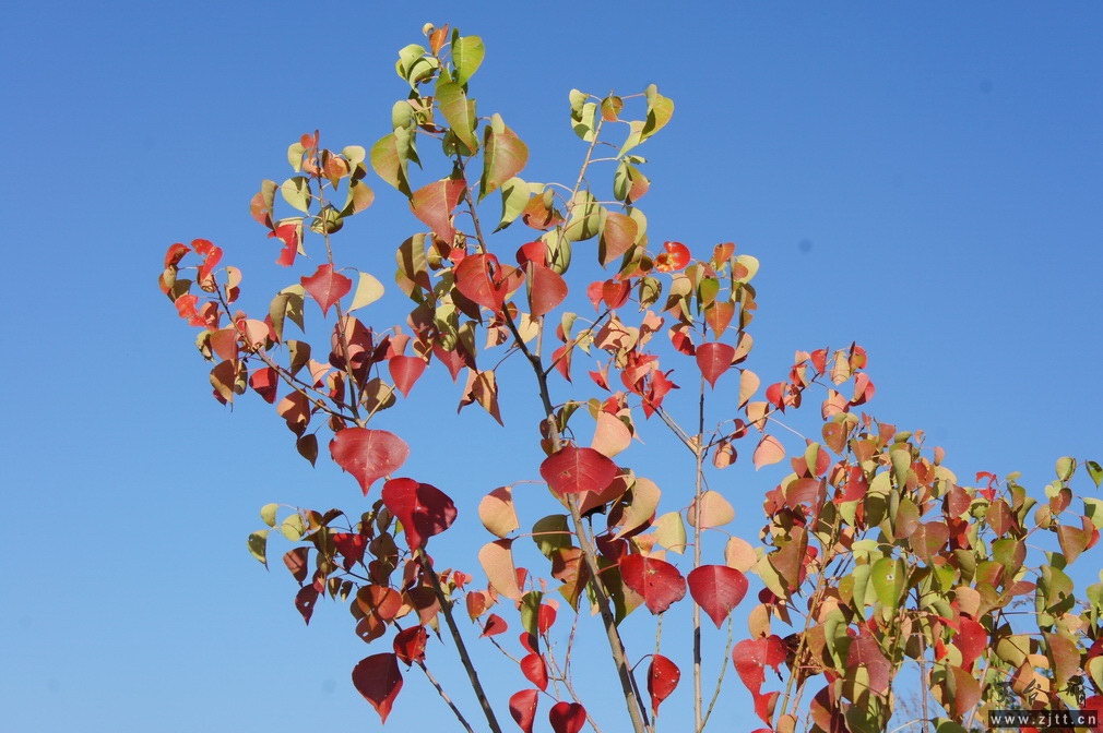 DSC01526_调整大小.jpg