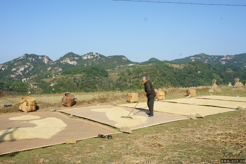 DSC01542_调整大小.jpg