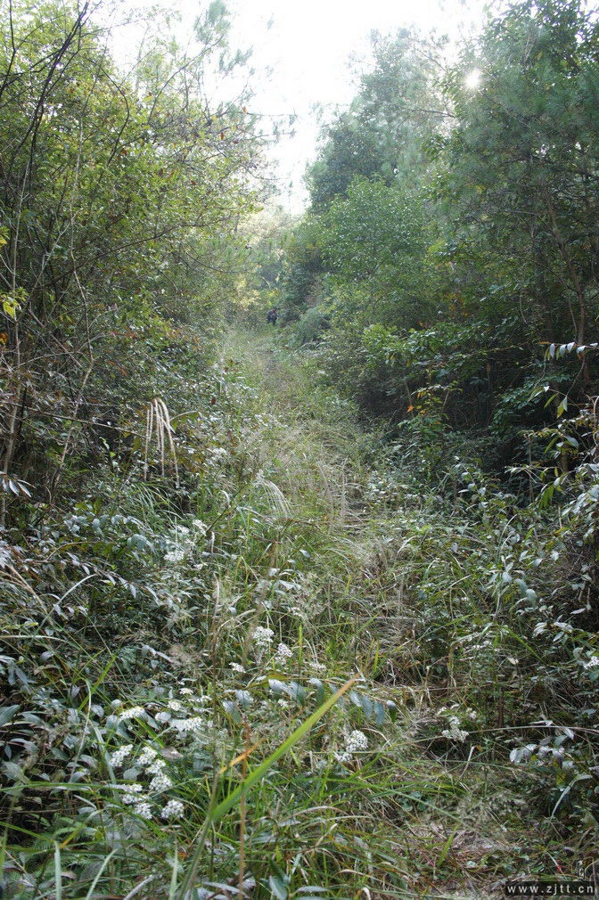 DSC01554_调整大小.jpg
