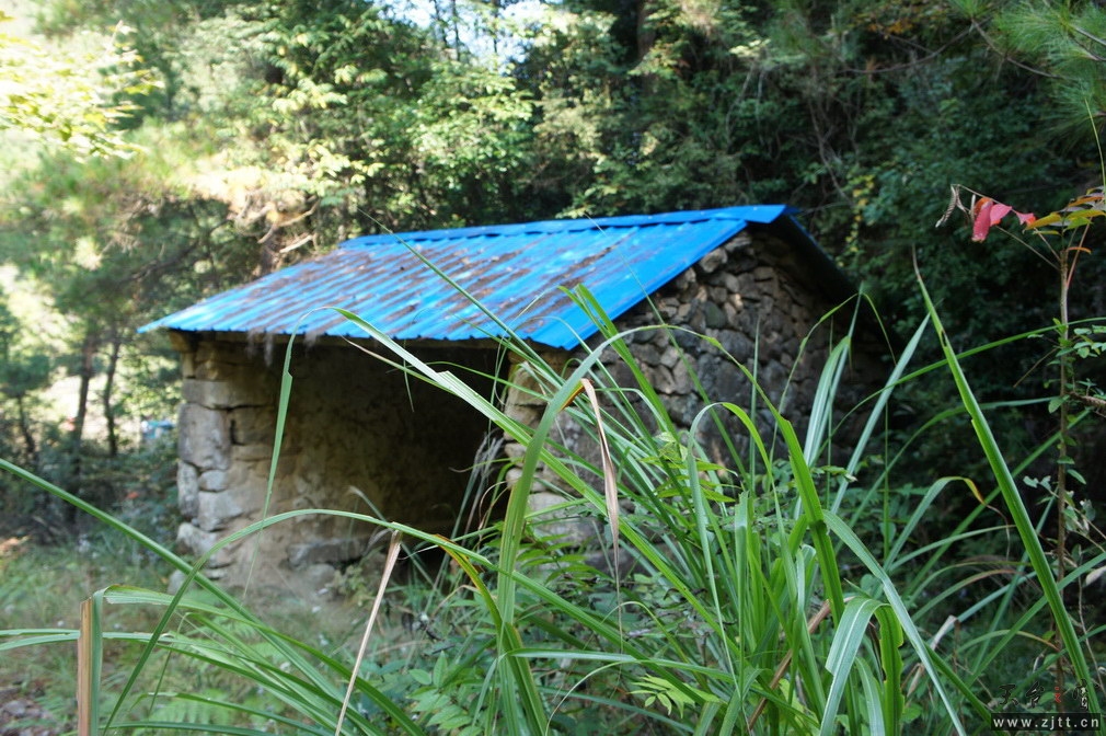 DSC01556_调整大小.jpg