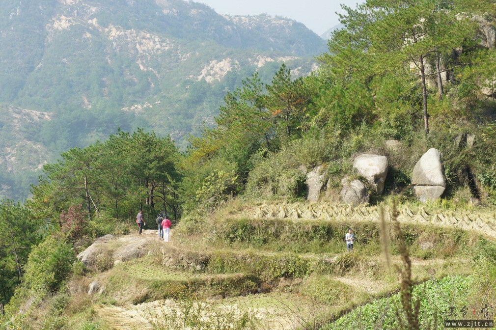 DSC01678_调整大小.jpg